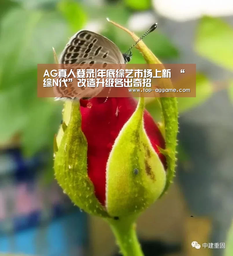 AG真人互动