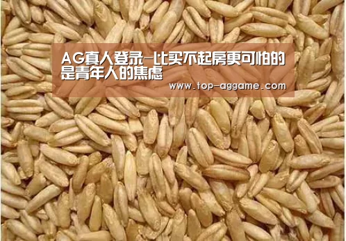 AG网址