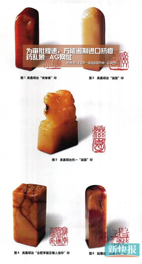 为审批提速,方能遏制进口抗癌药乱象-AG网址(图1) AG真人登录